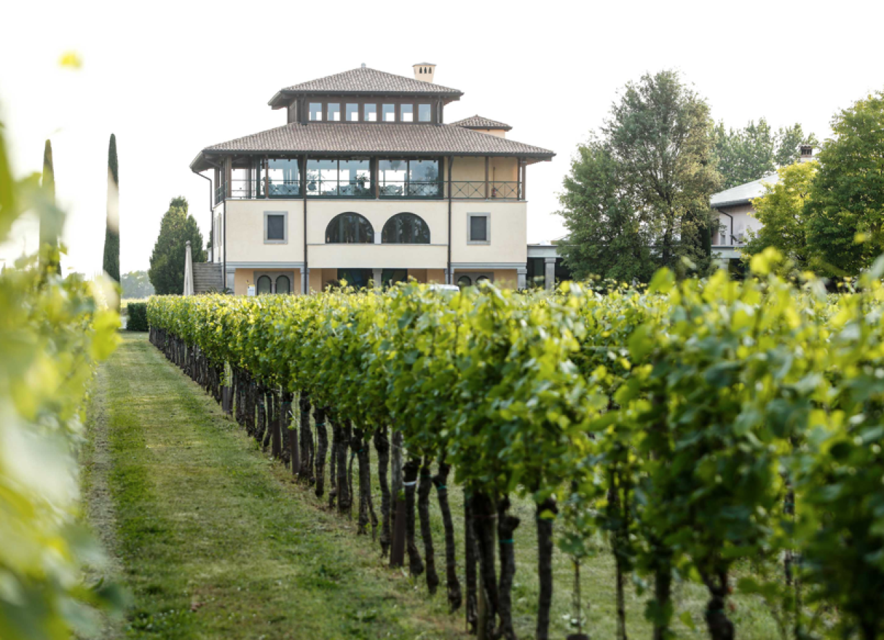 Tenuta Luisa veinimaja